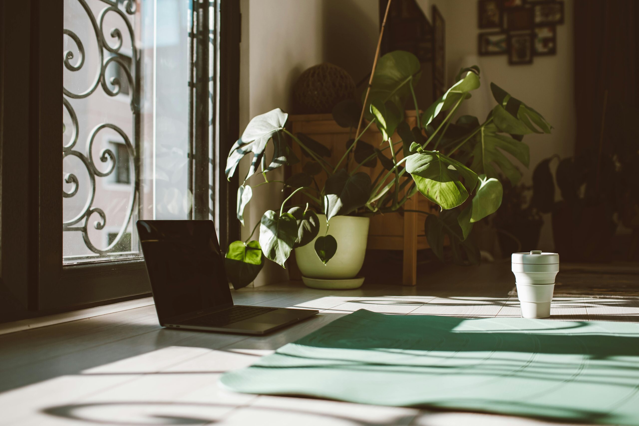 Yoga online: funziona davvero? Pro e contro per chi inizia